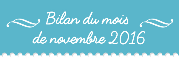 bilan_nov