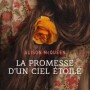 la-promesse-d-un-ciel-etoile