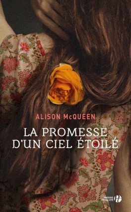 la-promesse-d-un-ciel-etoile