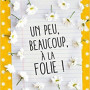 un-peu-beaucoup-a-la-folie