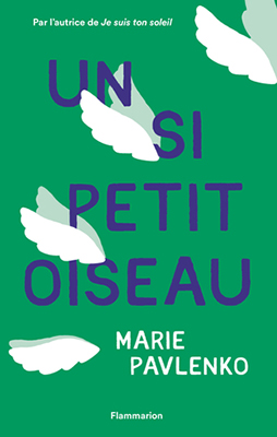 un-si-petit-oiseau