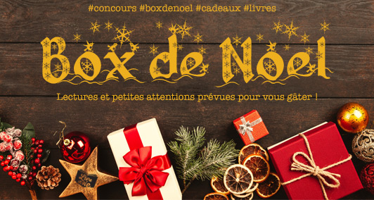 🎄Idées Lectures Noël 2023 : faites-vous plaisir avec les nouveautés Hugo  Romance – A livre ouvert