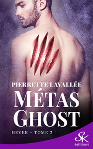 metas-ghost-02-hecker_numerique