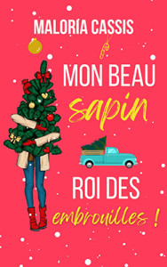 mon-beau-sapin-roi-des-embrouilles