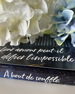 a-bout-de-souffle-detail_insta