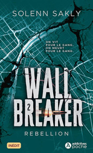 wall-breaker-02