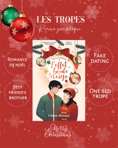 leffet-boule-de-neige-graphique-tropes_insta