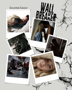 wall-breaker-aesthetic_insta