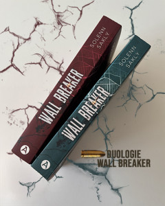 wall-breaker-duologie_insta