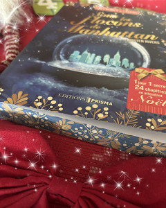 sous-les-flocons-de-manhattan-jaspage_insta