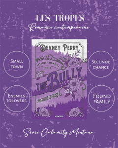 the-bully-tropes_insta