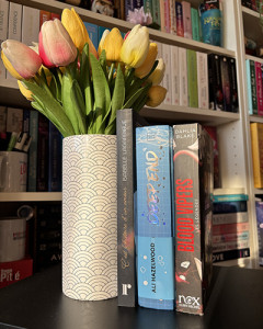 bookhaul-2026-13_insta
