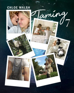 taming-7-aesthetic_insta